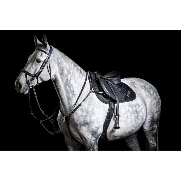 Ikonic Pro Evolution Black Series JEV03 Bild 4