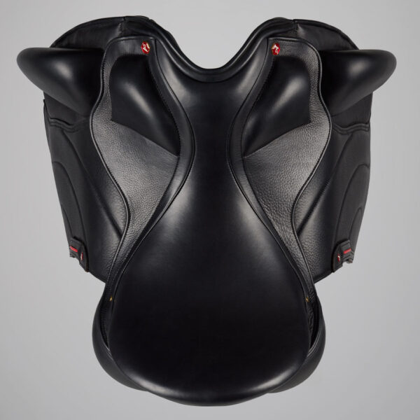 Albion Revelation Couture Dressage – Bild 3